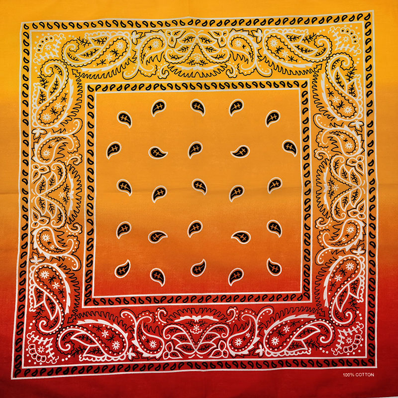 Fashion Unisex Black Paisley H - مراجعة Bandana Blank White وسعره