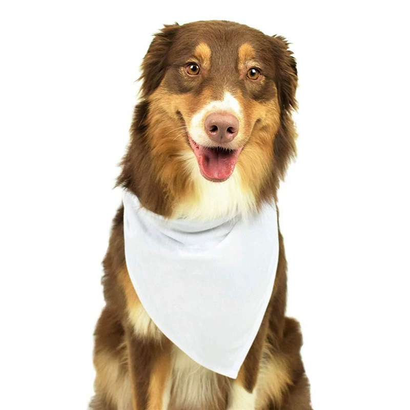 30pcs White Polyester Blank Do - مراجعة Bandana Blank White وسعره